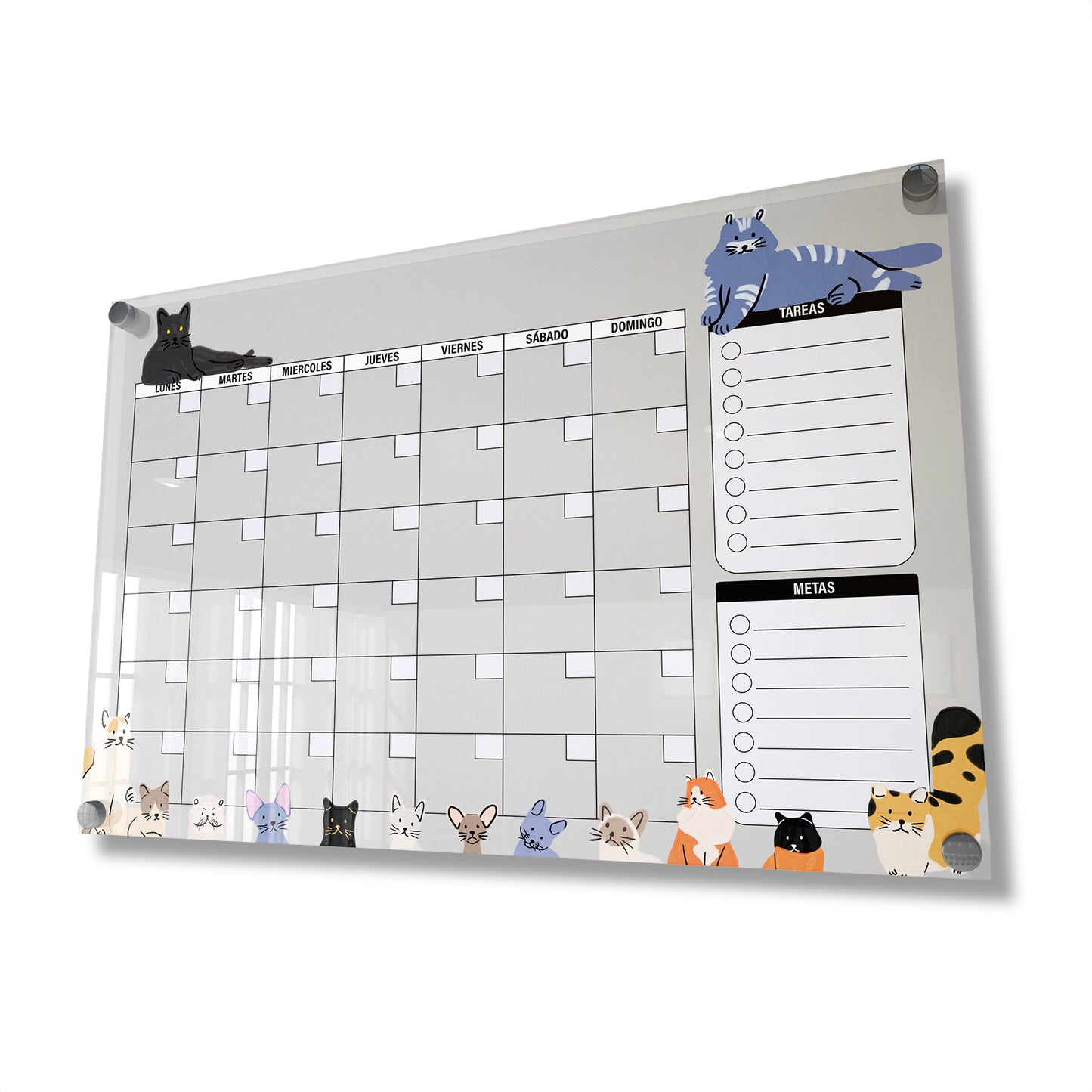 Planificador mensual de acrílico transparente con soportes de aluminio, diseño minimalista y reutilizable. Ideal para organizar tareas, metas y actividades. Incluye marcador borrable. Envío gratis en compras en línea.