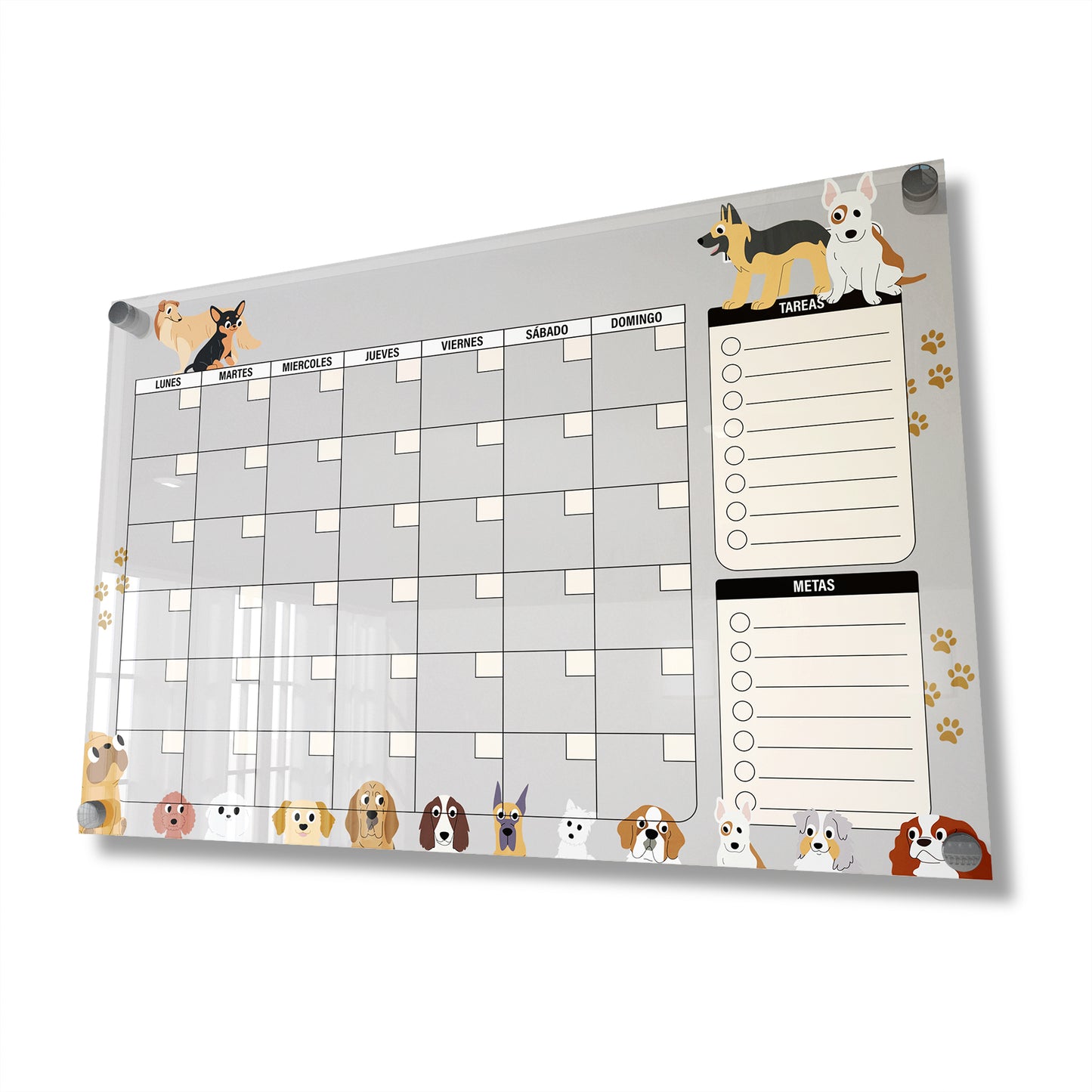 Planificador mensual de acrílico transparente con soportes de aluminio, diseño minimalista y reutilizable. Ideal para organizar tareas, metas y actividades. Incluye marcador borrable. Envío gratis en compras en línea.