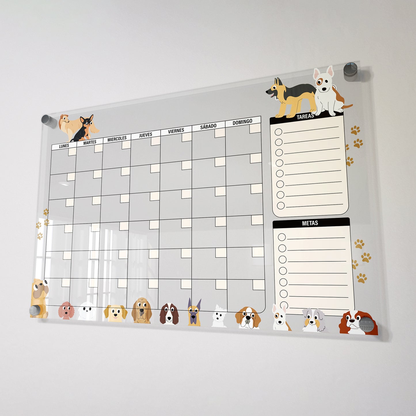 Planificador mensual de acrílico transparente con soportes de aluminio, diseño minimalista y reutilizable. Ideal para organizar tareas, metas y actividades. Incluye marcador borrable. Envío gratis en compras en línea.